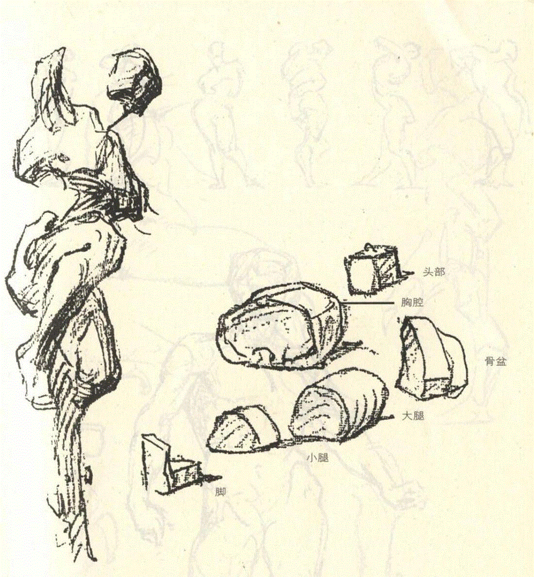 【速写入门教程】基础知识详解及要点剖析！