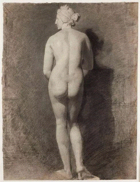 布德尔 《美第奇的维纳斯》 直纹纸炭笔画 约1880年,微导览 | 带您巡游《布德尔与他的雕塑艺术》