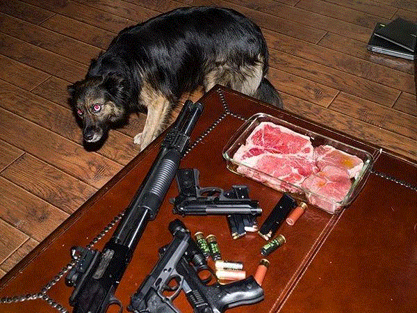 展览 | Farah Al Qasimi 的图像使敏感的身份变得栩栩如生