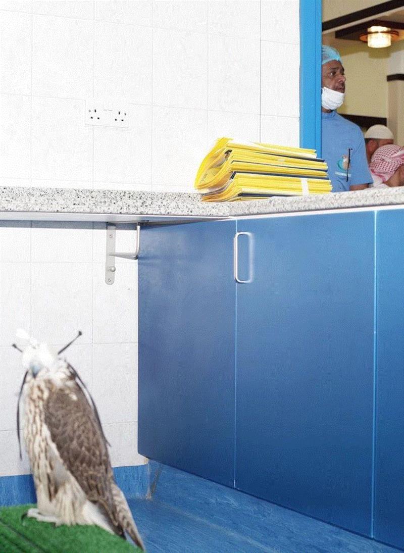 展览 | Farah Al Qasimi 的图像使敏感的身份变得栩栩如生