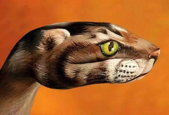 手上动物园｜令人叹为观止的逼真手部彩绘,彩绘,动物园,圭尼,手势,意大利艺术家,手艺,人手,动物肖像,插画家,90年代