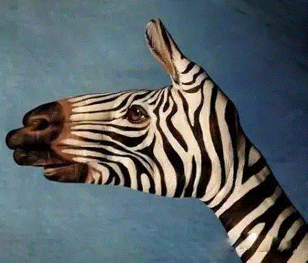 手上动物园｜令人叹为观止的逼真手部彩绘,彩绘,动物园,圭尼,手势,意大利艺术家,手艺,人手,动物肖像,插画家,90年代