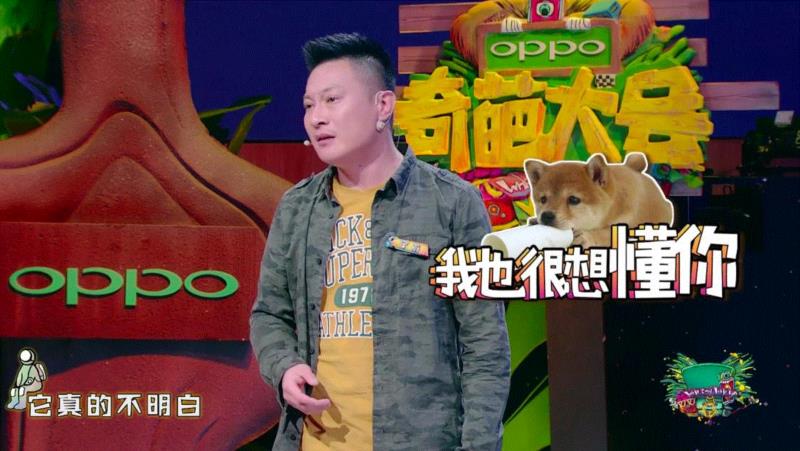 作为一个养过狗的人，听到这段分享真的不禁要反省自己。是我们决定把这些小动物留在身边，可是我们对待它们