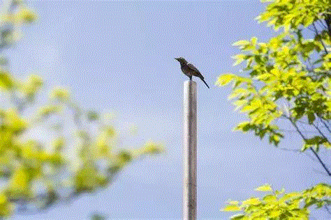 【现场】巴塞尔香港艺博会2018 ｜白立方1D23展位,白立方,展位,巴塞尔香港艺博会,香港,葛姆雷,安东尼,朝鲜,香港会议展览中心,Antony,Gormley