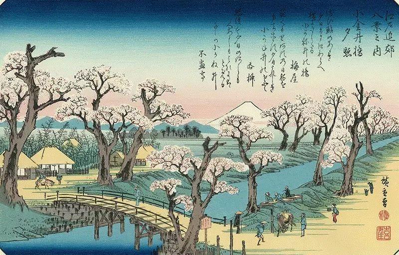 歌川广重《江户近郊八景·小金井桥夕照》,你朋友圈里的樱花，可能是假的……,樱花,朋友圈,日本,花梗,品种,海棠,html,杂交,大岛,花瓣