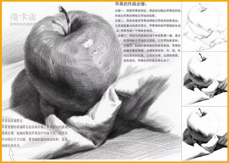 【素描水果教学】常见水果的作画步骤及结构剖析！,素描,步骤,苹果,形体,梨子,明暗交界线,交界,西红柿,蔬菜,球体