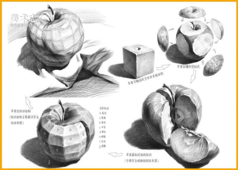 【素描水果教学】常见水果的作画步骤及结构剖析！,素描,步骤,苹果,形体,梨子,明暗交界线,交界,西红柿,蔬菜,球体