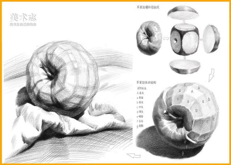 【素描水果教学】常见水果的作画步骤及结构剖析！,素描,步骤,苹果,形体,梨子,明暗交界线,交界,西红柿,蔬菜,球体