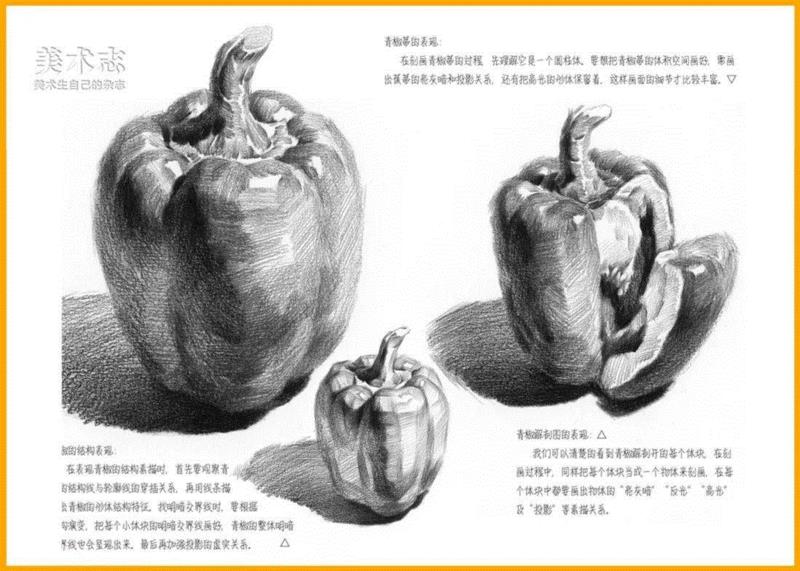 【素描水果教学】常见水果的作画步骤及结构剖析！,素描,步骤,苹果,形体,梨子,明暗交界线,交界,西红柿,蔬菜,球体