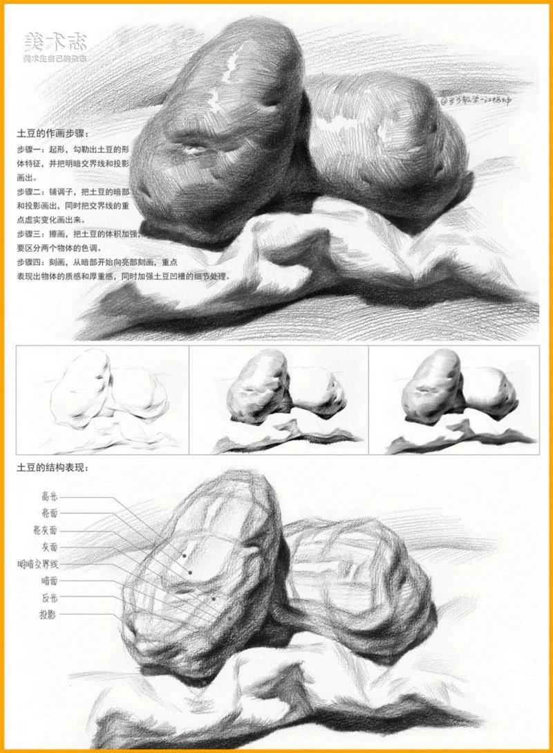 【素描水果教学】常见水果的作画步骤及结构剖析！,素描,步骤,苹果,形体,梨子,明暗交界线,交界,西红柿,蔬菜,球体