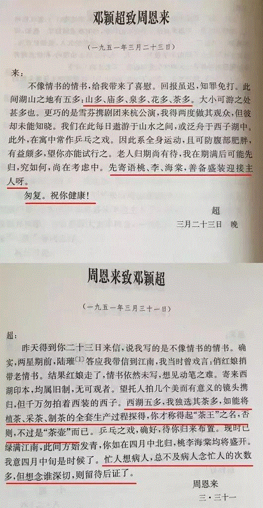 她相貌平平无法生育,却被周恩来独宠52年,背后的故事让人泪目,周恩来,相貌,平平,生育,背后的故事,邓颖超,两个人,深情,爱情,人物