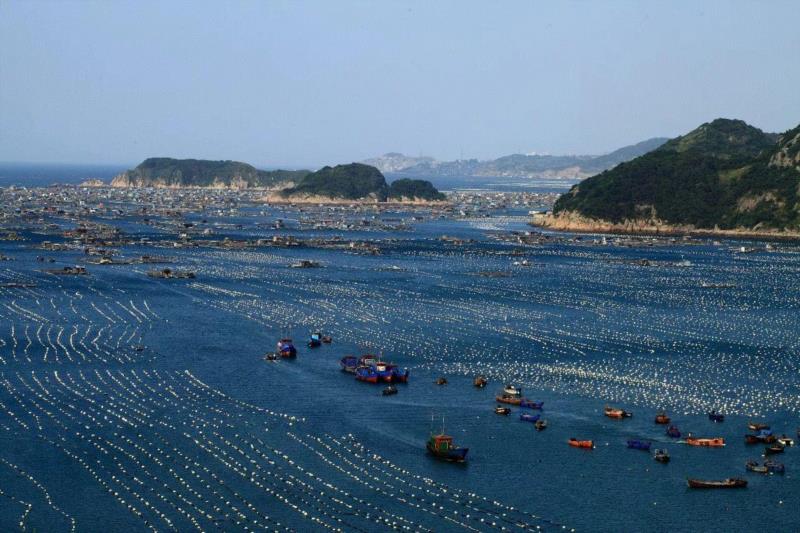 ▲ 福建省福州市，连江奇达村大面积的海上养殖基地成旅游美景。,最美的干尸、最早的「中国」……这些冷门博物馆你去过吗？,博物馆,元青花,白鹤,青铜器,文物,青州,剪纸,古代,高安,长江