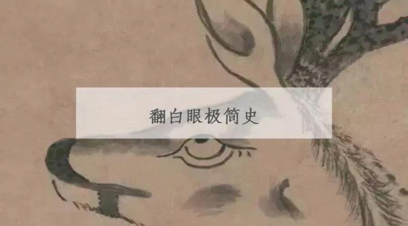 最美的干尸、最早的「中国」……这些冷门博物馆你去过吗？,博物馆,元青花,白鹤,青铜器,文物,青州,剪纸,古代,高安,长江