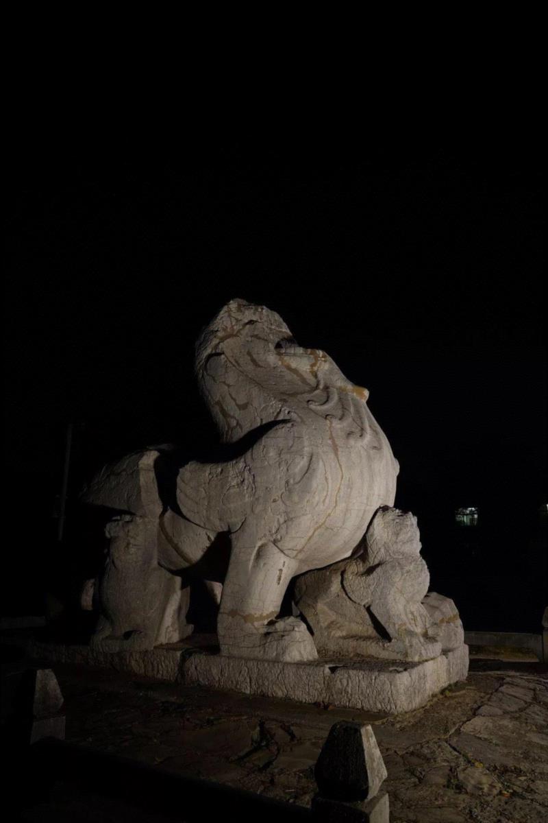 夜访六朝,六朝,石刻,神道,石柱,石碑,麒麟,南京,太子,梁武,将军