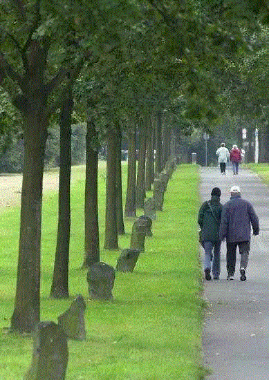 HOW艺术 | 那“7000棵橡树”,博伊斯,卡塞尔,玄武岩,卡塞尔市,谈话,交谈,Blume,sculpture,concept,Stadt