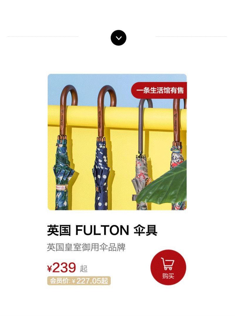 英女王撑了一辈子的伞，什么来头？,英女王,来头,伞面,品牌,女王,FULTON,英国,绅士,截止,鸟笼