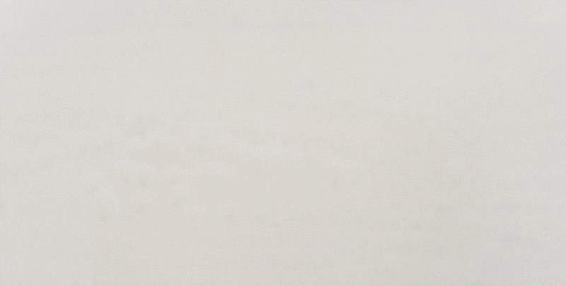 邱世华,《无题》,150 x 295 cm,布面油画,2015,【展讯】邱世华将参加“第五届新朦胧主义总结展”,第五届,邱世华,新朦胧主义,清华大学美术学院,清华大学美术学院美术馆,麦勒画廊,Kim,BTAP,清华美院,鲁晓波