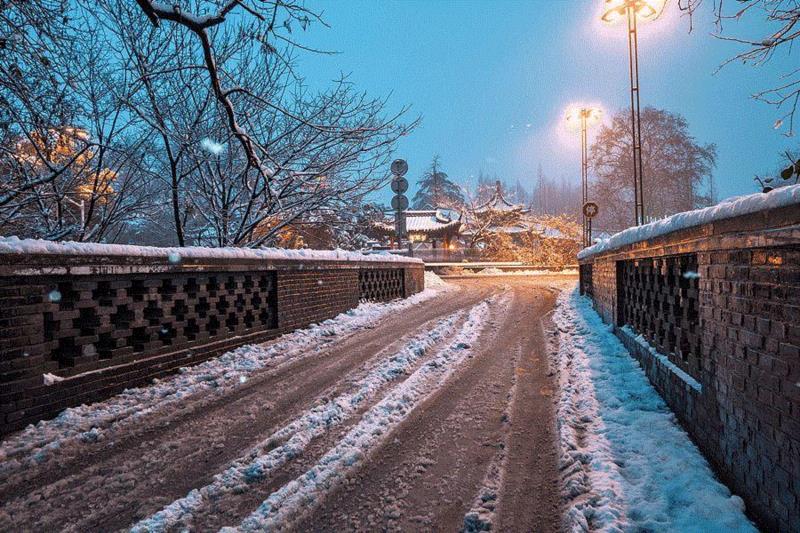 图片｜DongDong&nbsp;?,平凡，才是人生唯一的答案,平凡,梁晓声,教育,腐烂,小人物,英雄,周国平,高晓松,女儿,磨难