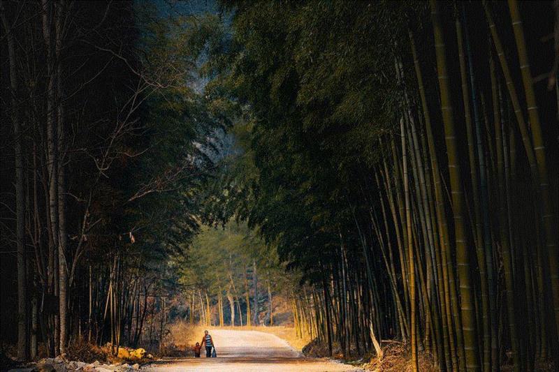 图片｜千里马常有&nbsp;?,平凡，才是人生唯一的答案,平凡,梁晓声,教育,腐烂,小人物,英雄,周国平,高晓松,女儿,磨难