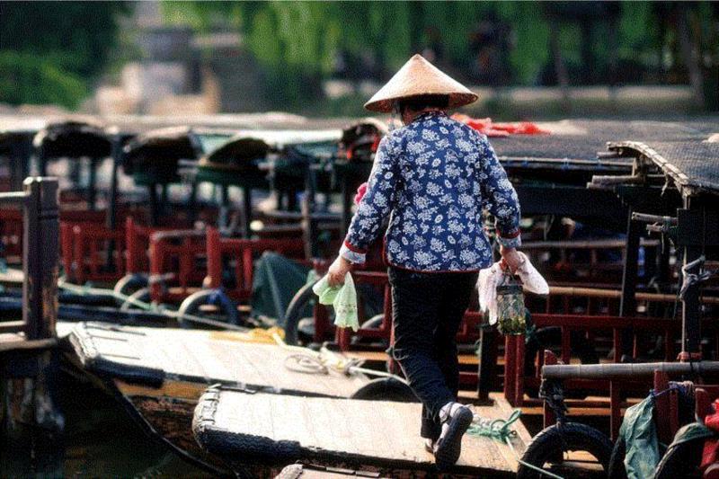 图片｜流浪的熊大夫&nbsp;?,平凡，才是人生唯一的答案,平凡,梁晓声,教育,腐烂,小人物,英雄,周国平,高晓松,女儿,磨难