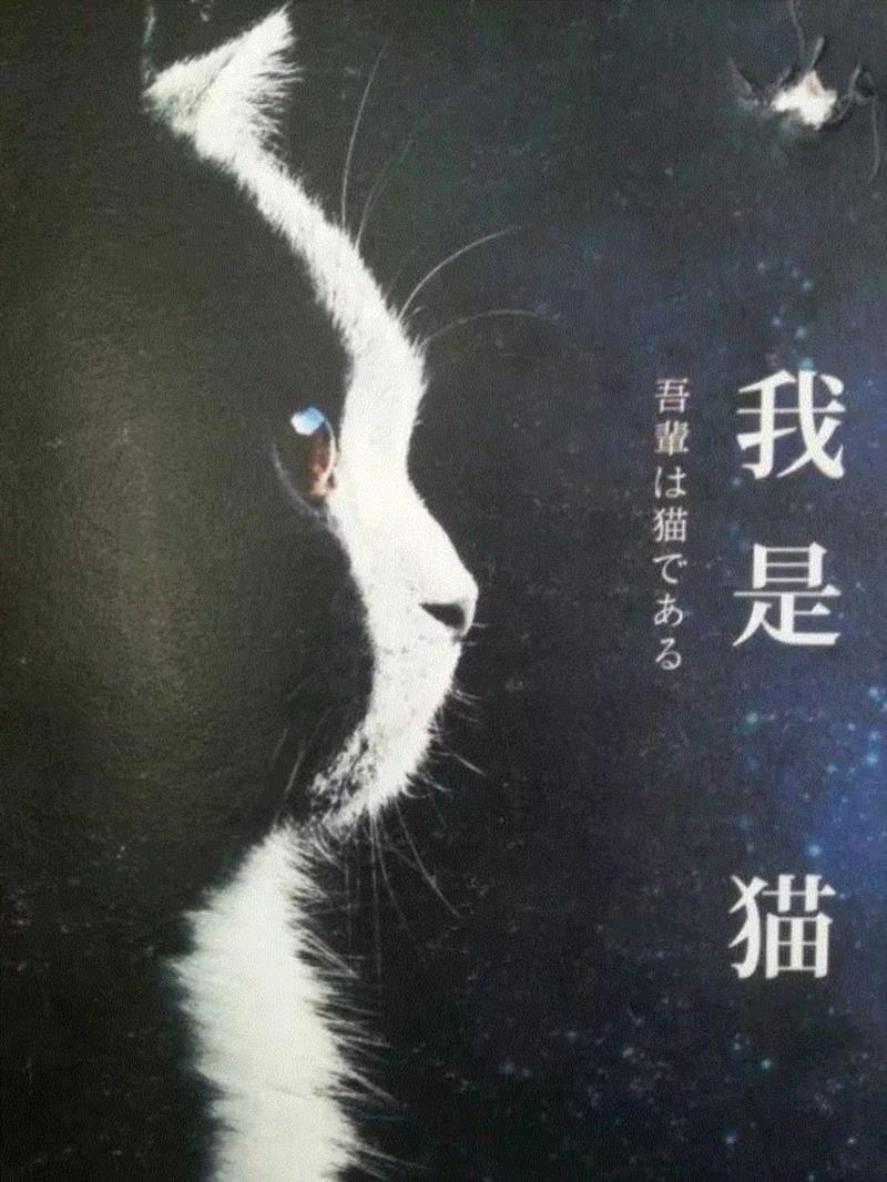 浮世绘大师歌川国芳笔下的猫世界，歌舞升平，好不快活！,歌川国芳,浮世绘,猫咪,国芳,驿站,东海道,流行,日语,自画像,姿态