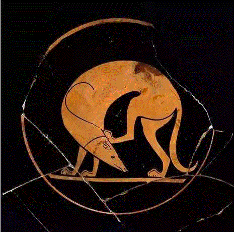 公元前500年雅典人把狗抓耳朵的样子记录在陶器上,汪星人入侵地球后，在艺术史里留下了这些爪印,艺术史,地球,汪星人,毕加索,Lump,狗狗,委拉斯开兹,古罗马,郎世宁,周春芽