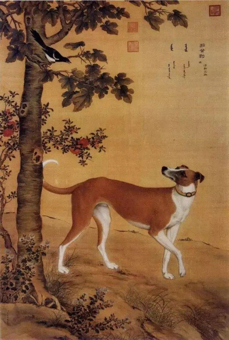 ▲清 郎世宁《十骏犬图-茹黄豹》,汪星人入侵地球后，在艺术史里留下了这些爪印,艺术史,地球,汪星人,毕加索,Lump,狗狗,委拉斯开兹,古罗马,郎世宁,周春芽