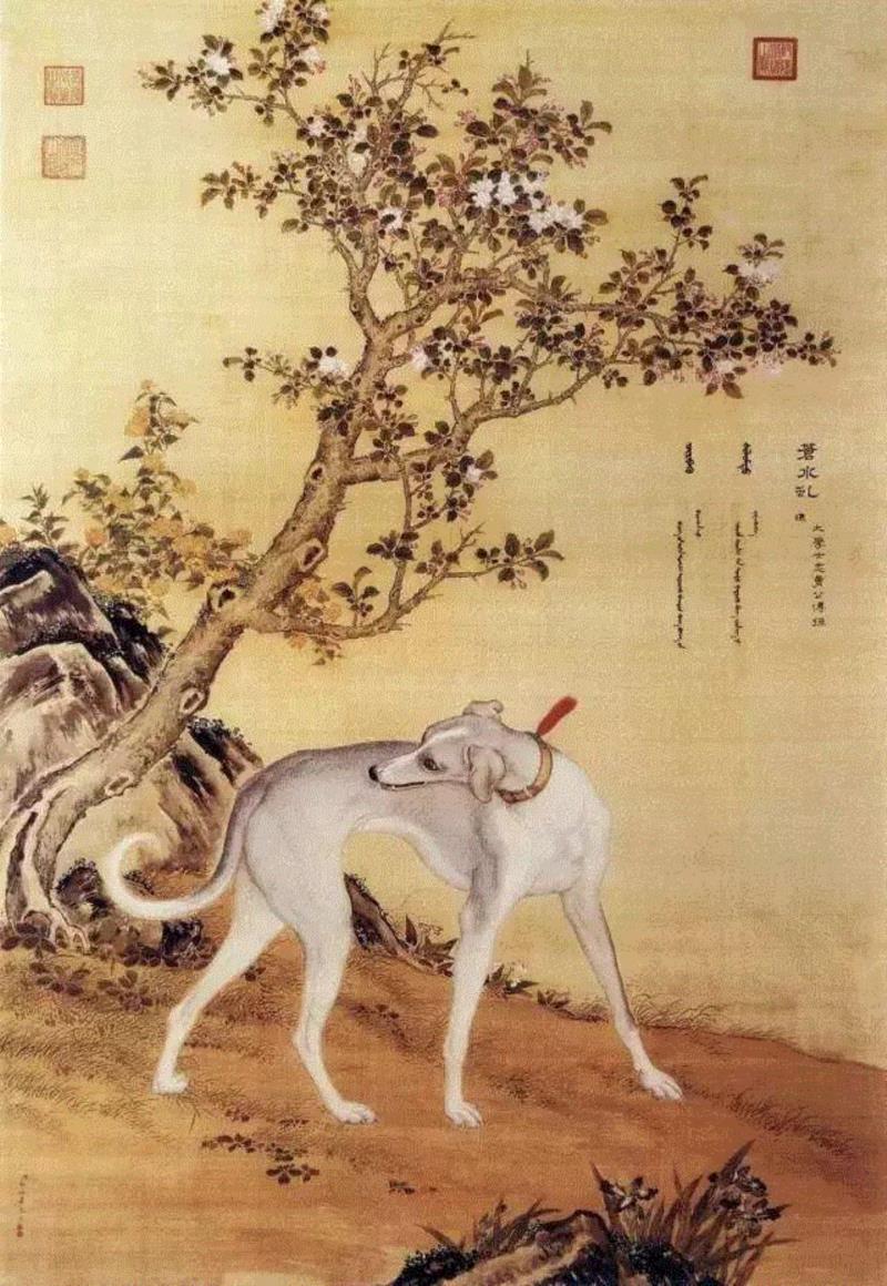 ▲清 郎世宁《十骏犬图-苍水虬》,汪星人入侵地球后，在艺术史里留下了这些爪印,艺术史,地球,汪星人,毕加索,Lump,狗狗,委拉斯开兹,古罗马,郎世宁,周春芽