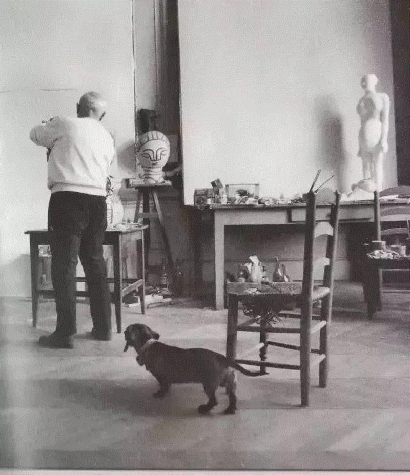 Lump在毕加索工作室,汪星人入侵地球后，在艺术史里留下了这些爪印,艺术史,地球,汪星人,毕加索,Lump,狗狗,委拉斯开兹,古罗马,郎世宁,周春芽