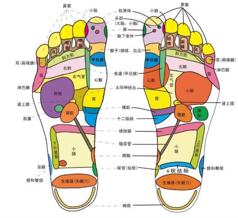5块钱就能在家做一次泰式足底马杀鸡！逼出体内一年的湿气、寒气！比拔火罐还管用！,湿气,寒气,火罐,泰国,足贴,护理,PRINCESS,毒素,穴位,皇家