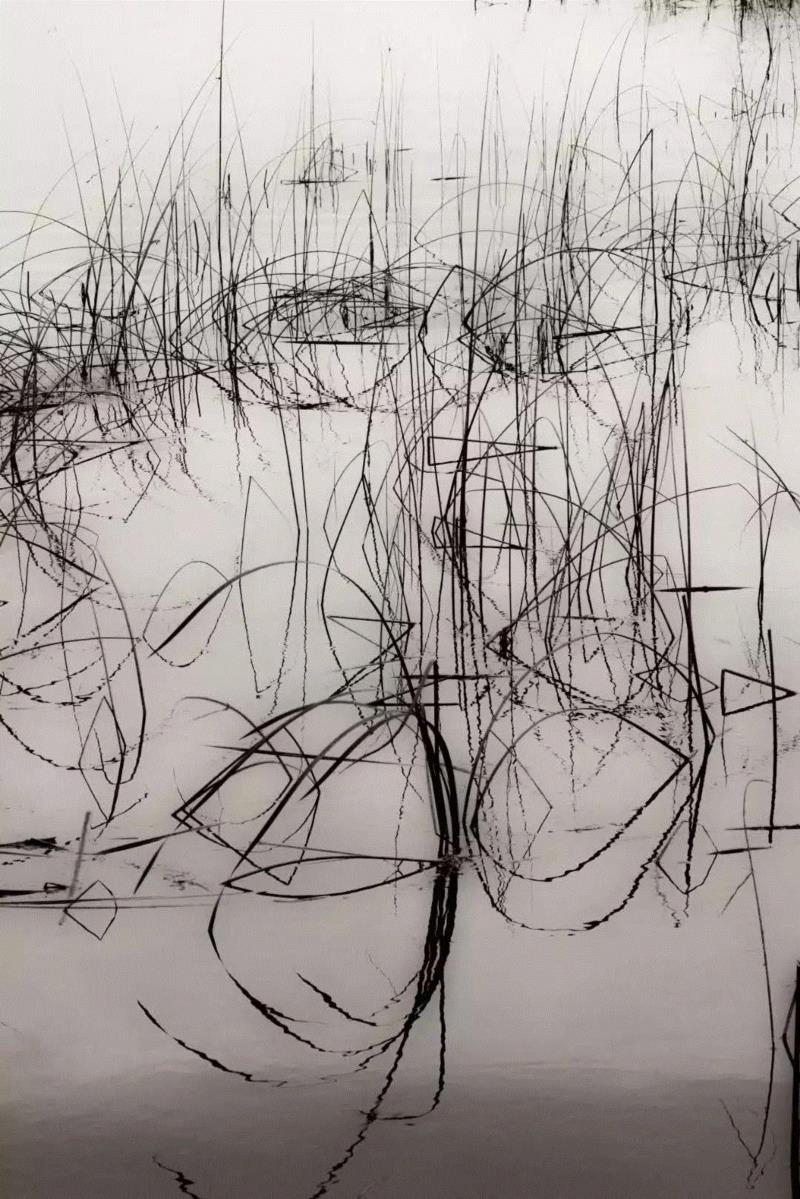 冯君蓝，草书(Cursive) 04,正艺美学 |「道在稊稗冰晶」冯君蓝 x 谢红东摄影联展