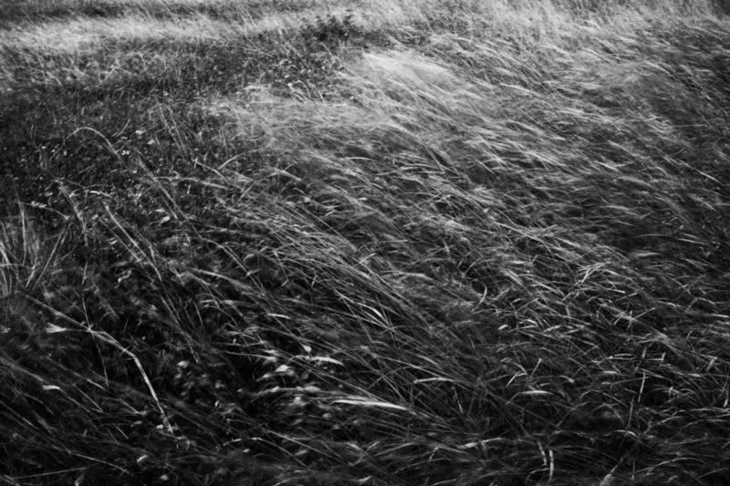 冯君蓝，草芥(Mere Straw) 25,正艺美学 |「道在稊稗冰晶」冯君蓝 x 谢红东摄影联展