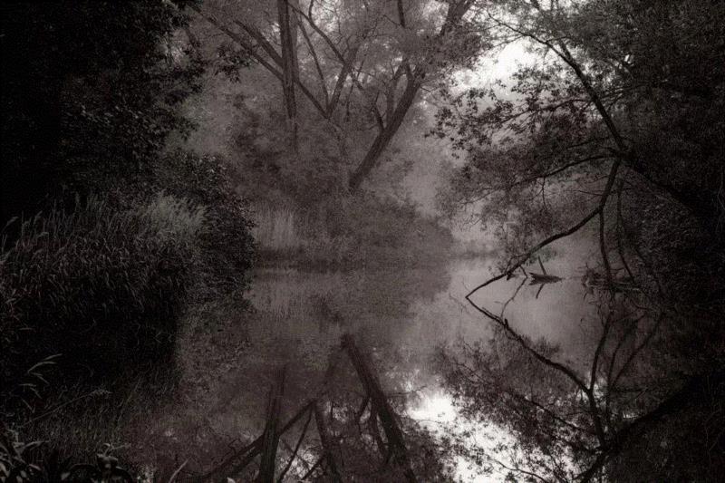 冯君蓝，草芥(Mere Straw) 29,正艺美学 |「道在稊稗冰晶」冯君蓝 x 谢红东摄影联展