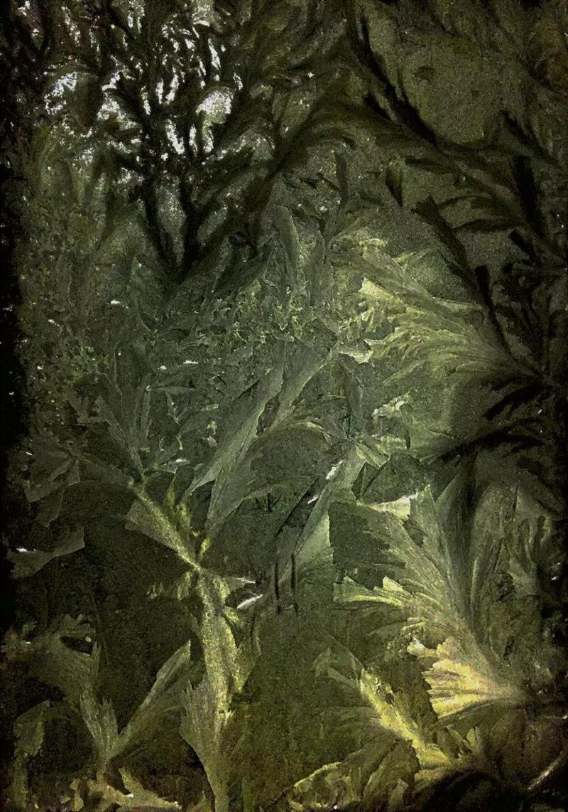 谢红东，园境(Garden Path)01,正艺美学 |「道在稊稗冰晶」冯君蓝 x 谢红东摄影联展