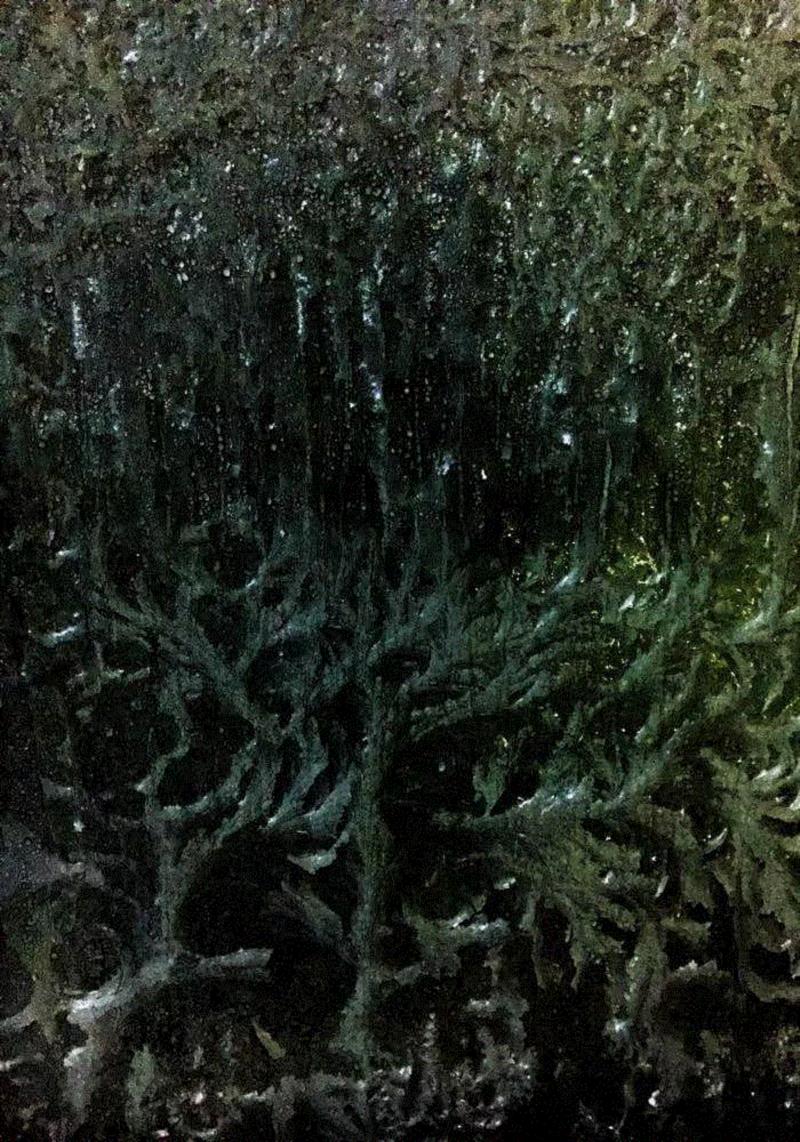 谢红东，园境(Garden Path)03,正艺美学 |「道在稊稗冰晶」冯君蓝 x 谢红东摄影联展