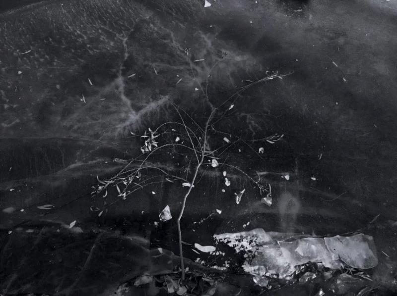 谢红东，暗境(Dark Glass),正艺美学 |「道在稊稗冰晶」冯君蓝 x 谢红东摄影联展