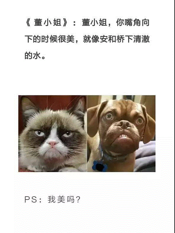 这些奇葩歌词  困扰了我的小学直到大学！,奇葩,歌词,小学,土耳其,抬头,李白,小燕子,微笑,燕子,科普