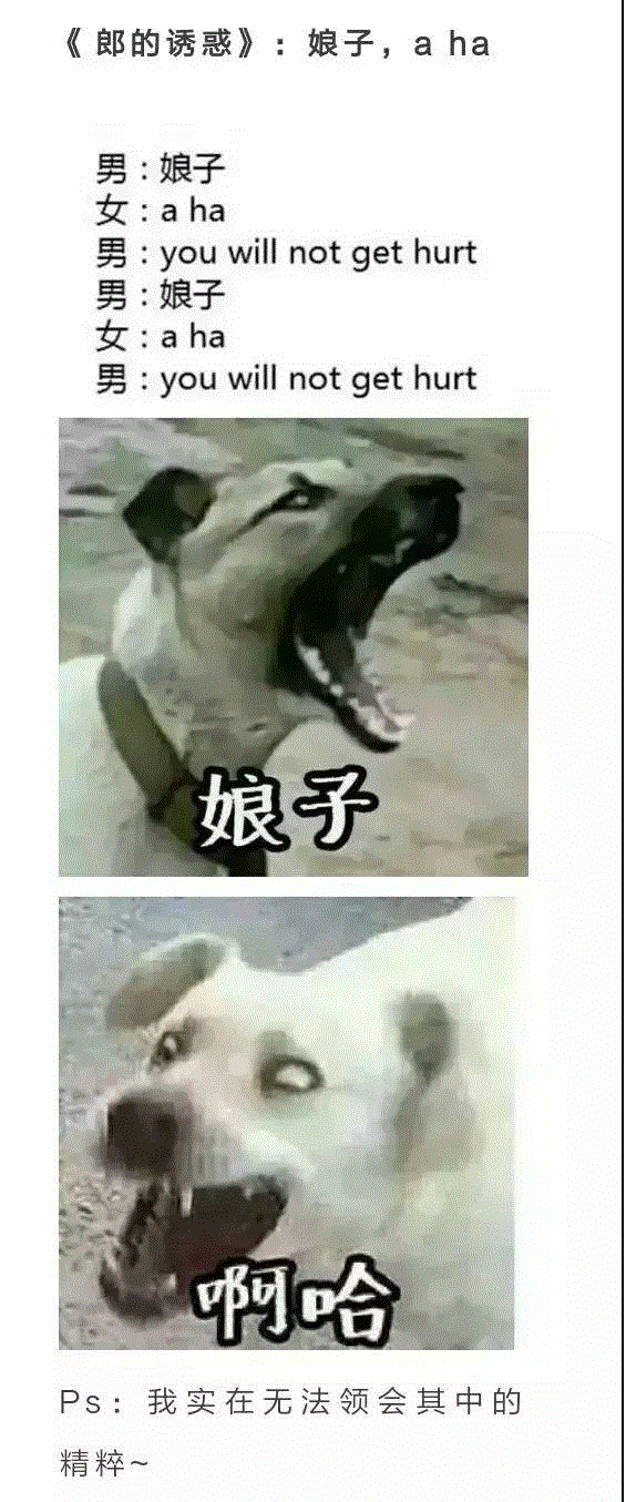 这些奇葩歌词  困扰了我的小学直到大学！,奇葩,歌词,小学,土耳其,抬头,李白,小燕子,微笑,燕子,科普