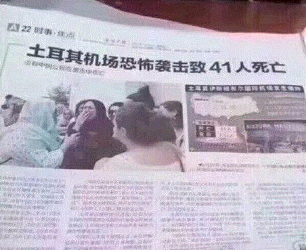 这些奇葩歌词  困扰了我的小学直到大学！,奇葩,歌词,小学,土耳其,抬头,李白,小燕子,微笑,燕子,科普