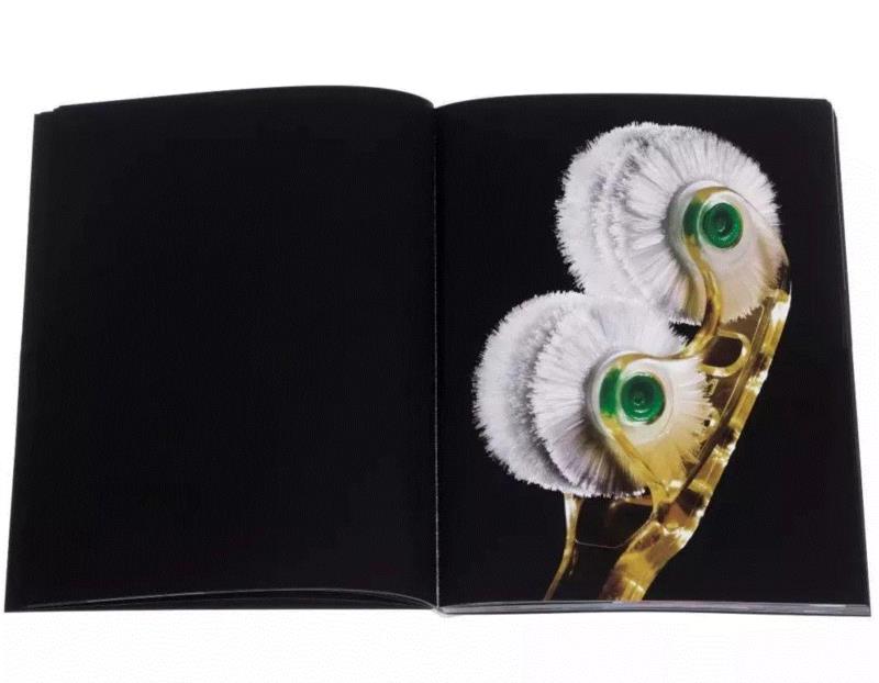 LEAP Book Club | 以书为创作媒介的三本艺术家书,LEAP,Book,Club,以书,创作媒介,李维伊,牙刷,张文心,马克西姆,摄影