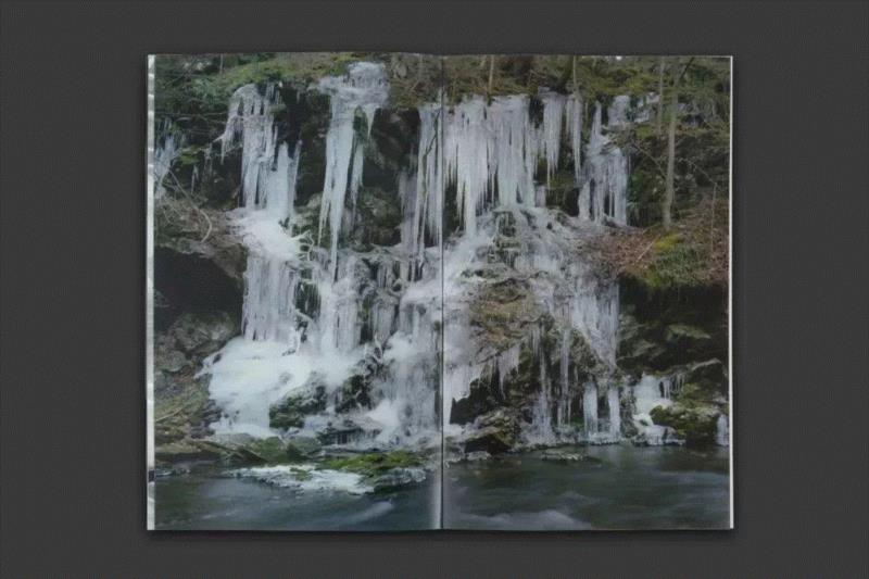 LEAP Book Club | 以书为创作媒介的三本艺术家书,LEAP,Book,Club,以书,创作媒介,李维伊,牙刷,张文心,马克西姆,摄影