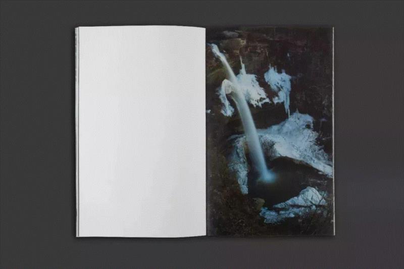 LEAP Book Club | 以书为创作媒介的三本艺术家书,LEAP,Book,Club,以书,创作媒介,李维伊,牙刷,张文心,马克西姆,摄影