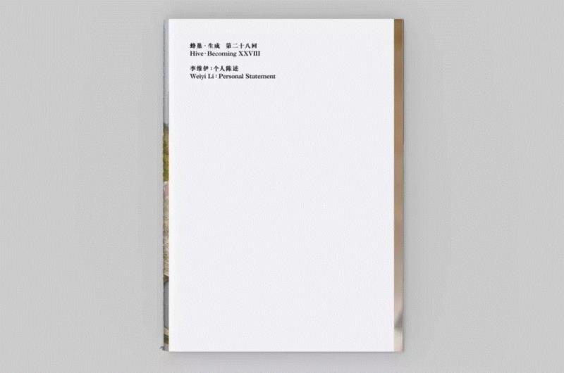 weiyi Li: Personal Statement,LEAP Book Club | 以书为创作媒介的三本艺术家书,LEAP,Book,Club,以书,创作媒介,李维伊,牙刷,张文心,马克西姆,摄影
