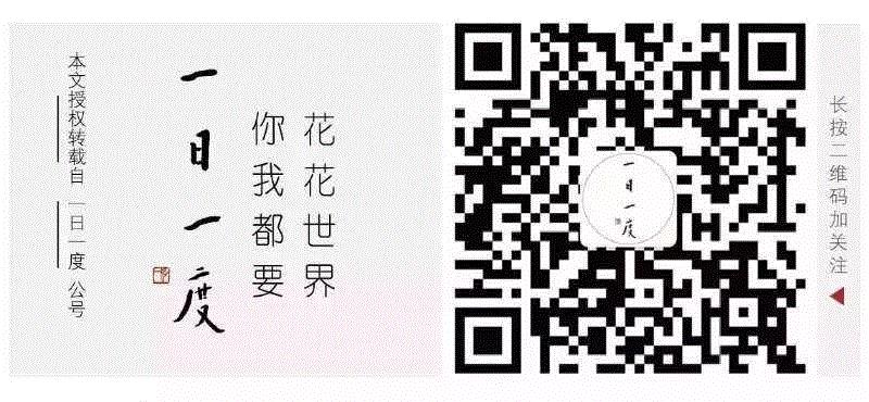 专辑 ▎帮李小龙扬名，给金庸挖坑，这个写字最快的作家，用3个字写下145本传奇,金庸,作家,专辑,李小龙,写字,传奇,倪匡,蔡澜,古龙,小说