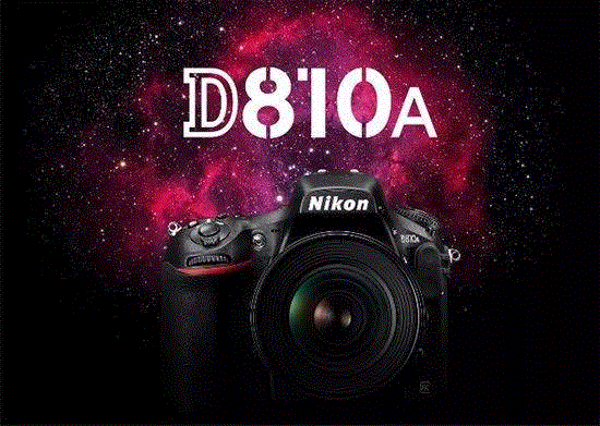 尼康D850跌到两万五了？尼康D850a即将亮相！,尼康,停产,尼康D850,机身,相机,性能,缺货,推荐,ISO,季度