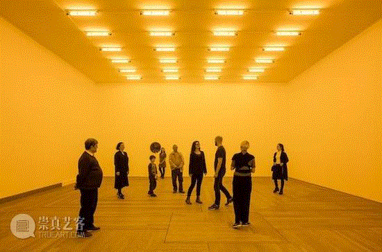 在看完展览后，特别是我们作为参观者经历了变成“单色画”以后，或许我们会更加意识到我们的感知多么有限，