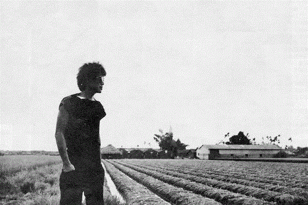 年少不懂罗大佑，听懂已不再少年,罗大佑,少年,音乐,专辑,张艾嘉,爱情,两人,感情,李宗盛,台北