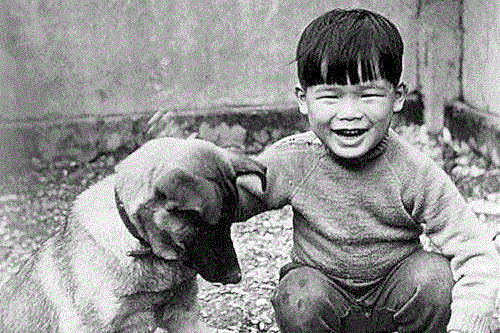 ▲ 幼年罗大佑和他的狗狗。&nbsp;,年少不懂罗大佑，听懂已不再少年,罗大佑,少年,音乐,专辑,张艾嘉,爱情,两人,感情,李宗盛,台北