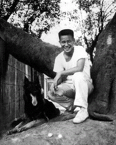 ▲ 青年罗大佑。,年少不懂罗大佑，听懂已不再少年,罗大佑,少年,音乐,专辑,张艾嘉,爱情,两人,感情,李宗盛,台北