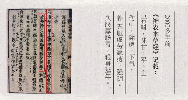 武则天养颜益寿的秘诀，就在这株草里,武则天,养颜益寿,秘诀,霍山,本草,养生,营养,冬季,全家人,铁皮